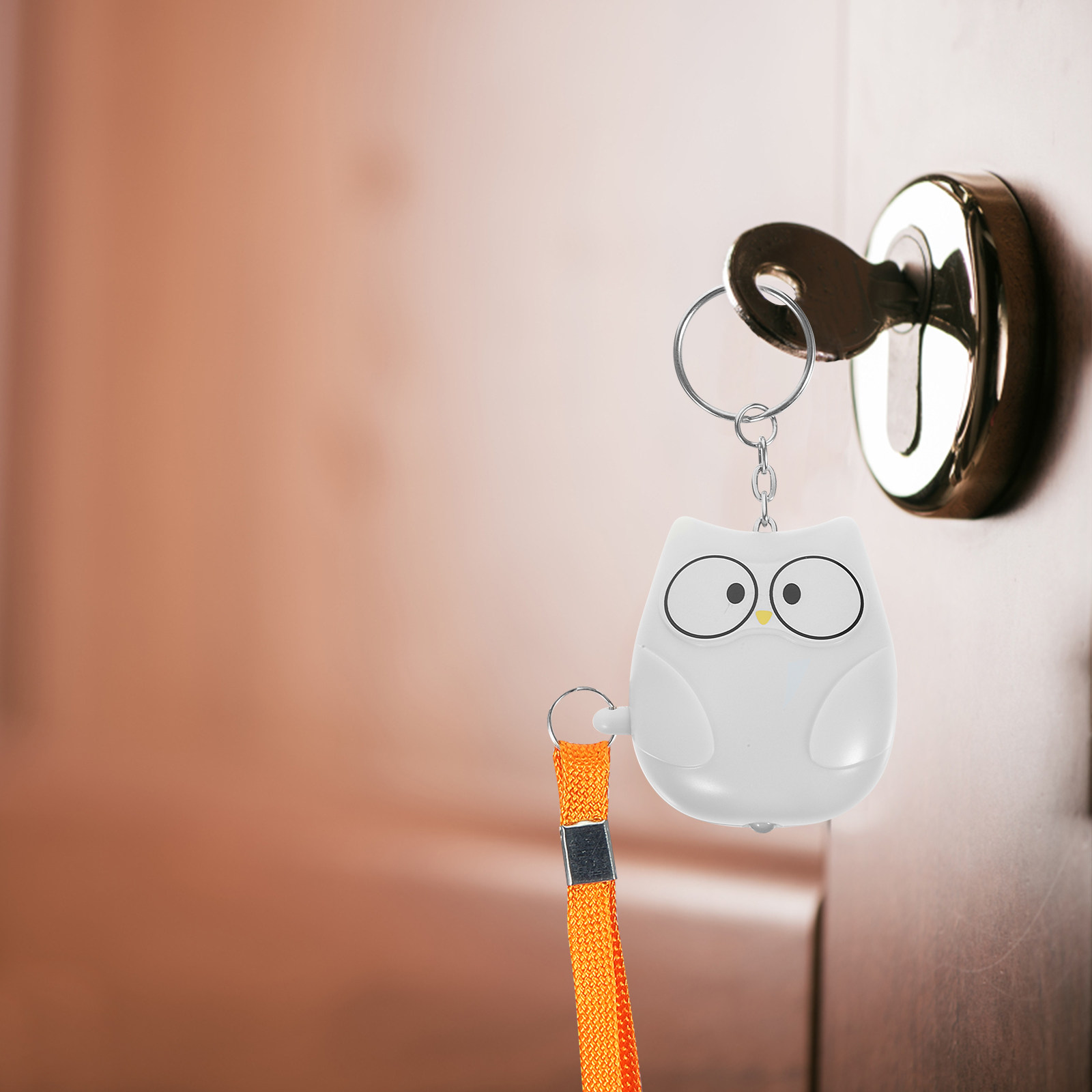 พวงกุญแจสัญญาณเตือนภัยส่วนตัวร - Personal Alarm Keychain บทวิจารณ์และราคา